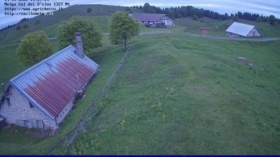 immagine della webcam nei dintorni di Belluno: webcam Pian del Cansiglio