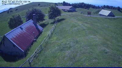 immagine della webcam nei dintorni di Limana: webcam Pian del Cansiglio