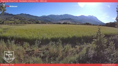 webcam