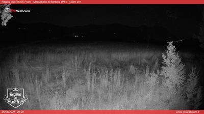 immagine della webcam nei dintorni di Isola del Gran Sasso d'Italia: webcam Montebello di Bertona