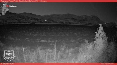 immagine della webcam nei dintorni di Silville: webcam Montebello di Bertona