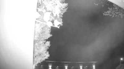 immagine della webcam nei dintorni di Monzambano: webcam Peschiera del Garda