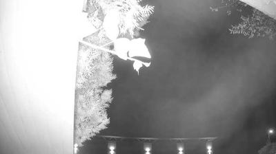 immagine della webcam nei dintorni di Manerba del Garda: webcam Peschiera del Garda