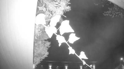 immagine della webcam nei dintorni di Pescantina: webcam Peschiera del Garda