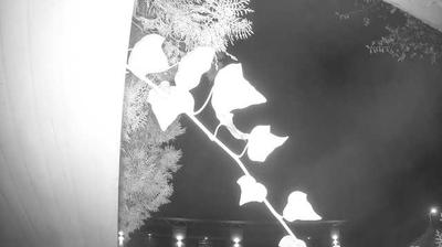 immagine della webcam nei dintorni di Moniga del Garda: webcam Peschiera del Garda