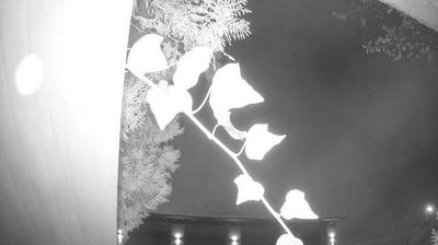immagine della webcam nei dintorni di Bardolino: webcam Peschiera del Garda