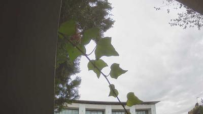 immagine della webcam nei dintorni di Torri del Benaco: webcam Peschiera del Garda