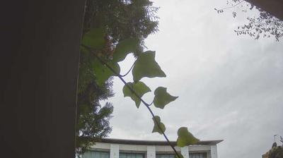 immagine della webcam nei dintorni di Sirmione: webcam Peschiera del Garda