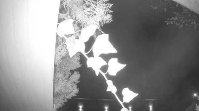 immagine della webcam nei dintorni di Rodigo: webcam Peschiera del Garda