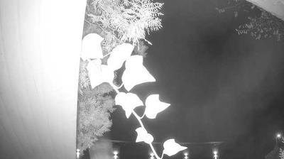 immagine della webcam nei dintorni di Affi: webcam Peschiera del Garda