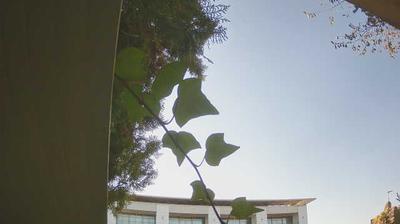 immagine della webcam nei dintorni di Manerba del Garda: webcam Peschiera del Garda