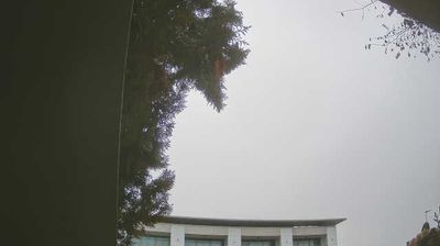 immagine della webcam nei dintorni di Lazise: webcam Peschiera del Garda