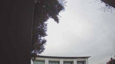 immagine della webcam nei dintorni di Castiglione delle Stiviere: webcam Peschiera del Garda