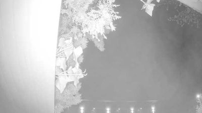 immagine della webcam nei dintorni di Castiglione delle Stiviere: webcam Peschiera del Garda