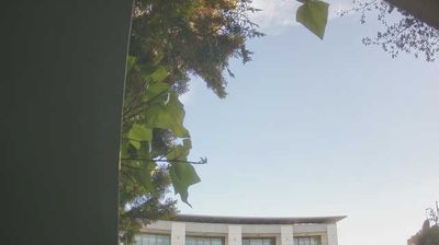 Preview delle webcam di Peschiera del Garda