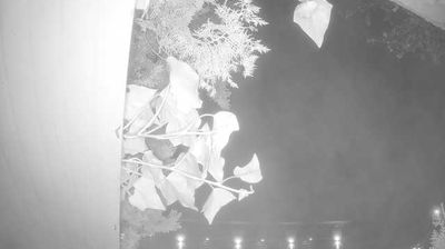 immagine della webcam nei dintorni di Gardaland: webcam Peschiera del Garda