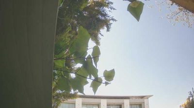 immagine della webcam nei dintorni di Costermano sul Garda: webcam Peschiera del Garda