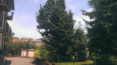 immagine della webcam nei dintorni di Cogliate: webcam Lentate sul Seveso