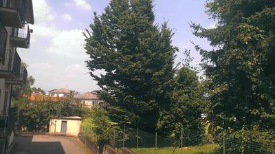 immagine della webcam nei dintorni di Garbagnate Milanese: webcam Lentate sul Seveso