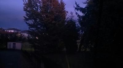 immagine della webcam nei dintorni di Trecate: webcam Lentate sul Seveso