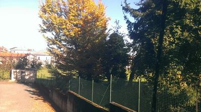 immagine della webcam nei dintorni di Garbagnate Milanese: webcam Lentate sul Seveso