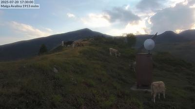 immagine della webcam nei dintorni di Bagolino: webcam Daone