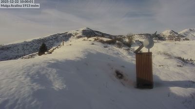 immagine della webcam nei dintorni di Valdaone: webcam Daone