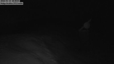 immagine della webcam nei dintorni di Bondone: webcam Daone