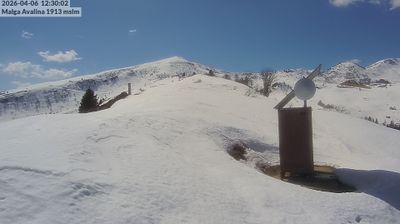 immagine della webcam nei dintorni di Saviore dell'Adamello: webcam Daone