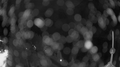 immagine della webcam nei dintorni di Moso: webcam Dobbiaco