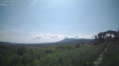 Preview delle webcam di Sarteano