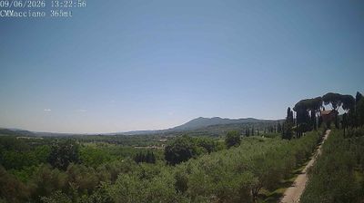 Preview delle webcam di Sarteano