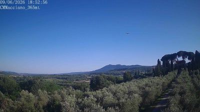 Preview delle webcam di Sarteano
