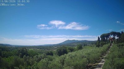 Preview delle webcam di Sarteano