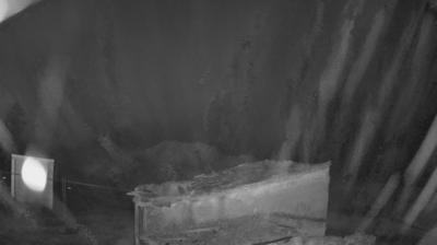 immagine della webcam nei dintorni di L'Aquila: webcam Torano