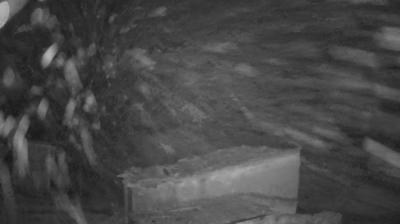 immagine della webcam nei dintorni di Rocca di Cambio: webcam Torano