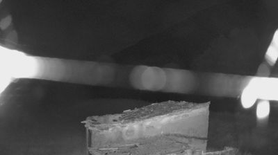 immagine della webcam nei dintorni di Campo Staffi: webcam Torano