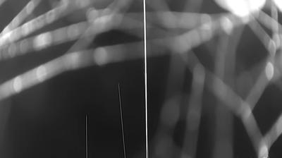 Preview delle webcam di Loano › Sud-Ovest