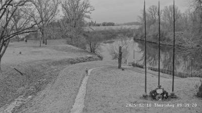immagine della webcam nei dintorni di Giudecca: webcam Noventa di Piave