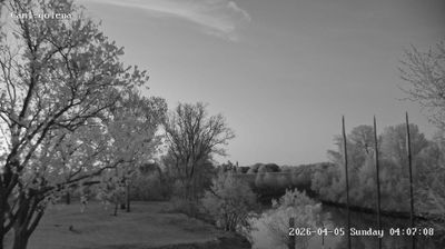 immagine della webcam nei dintorni di Cavallino: webcam Noventa di Piave