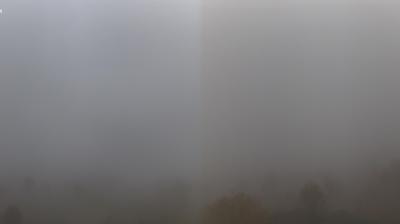 immagine della webcam nei dintorni di Montechiarugolo: webcam Scandiano