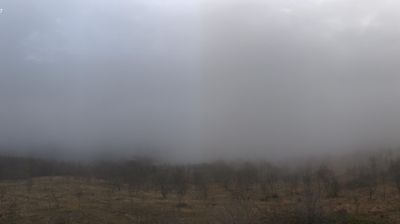 immagine della webcam nei dintorni di Castelvetro di Modena: webcam Arceto