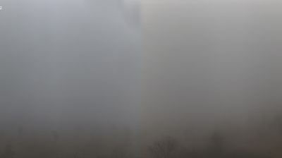 immagine della webcam nei dintorni di Viano: webcam Scandiano