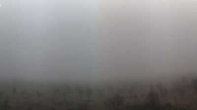 immagine della webcam nei dintorni di Bagnolo in Piano: webcam Arceto