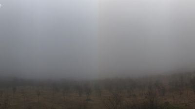 immagine della webcam nei dintorni di Bagnolo in Piano: webcam Arceto