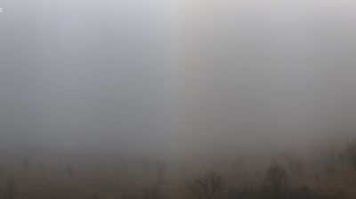 immagine della webcam nei dintorni di Albinea: webcam Scandiano