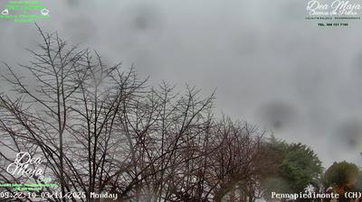 immagine della webcam nei dintorni di Vallevo': webcam Pennapiedimonte