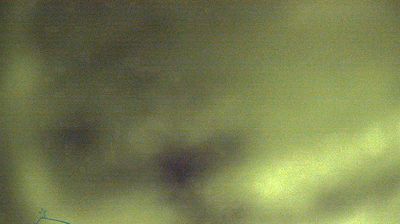 immagine della webcam nei dintorni di Abetone: webcam Corno alle Scale