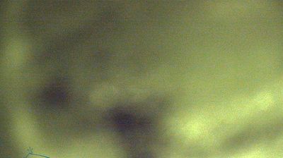 immagine della webcam nei dintorni di Castel d'Aiano: webcam Corno alle Scale